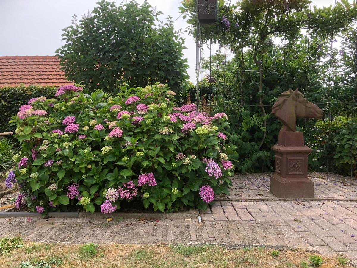 Laaker Villa Nearby Outlet Roermond Ohe en Laak Екстер'єр фото