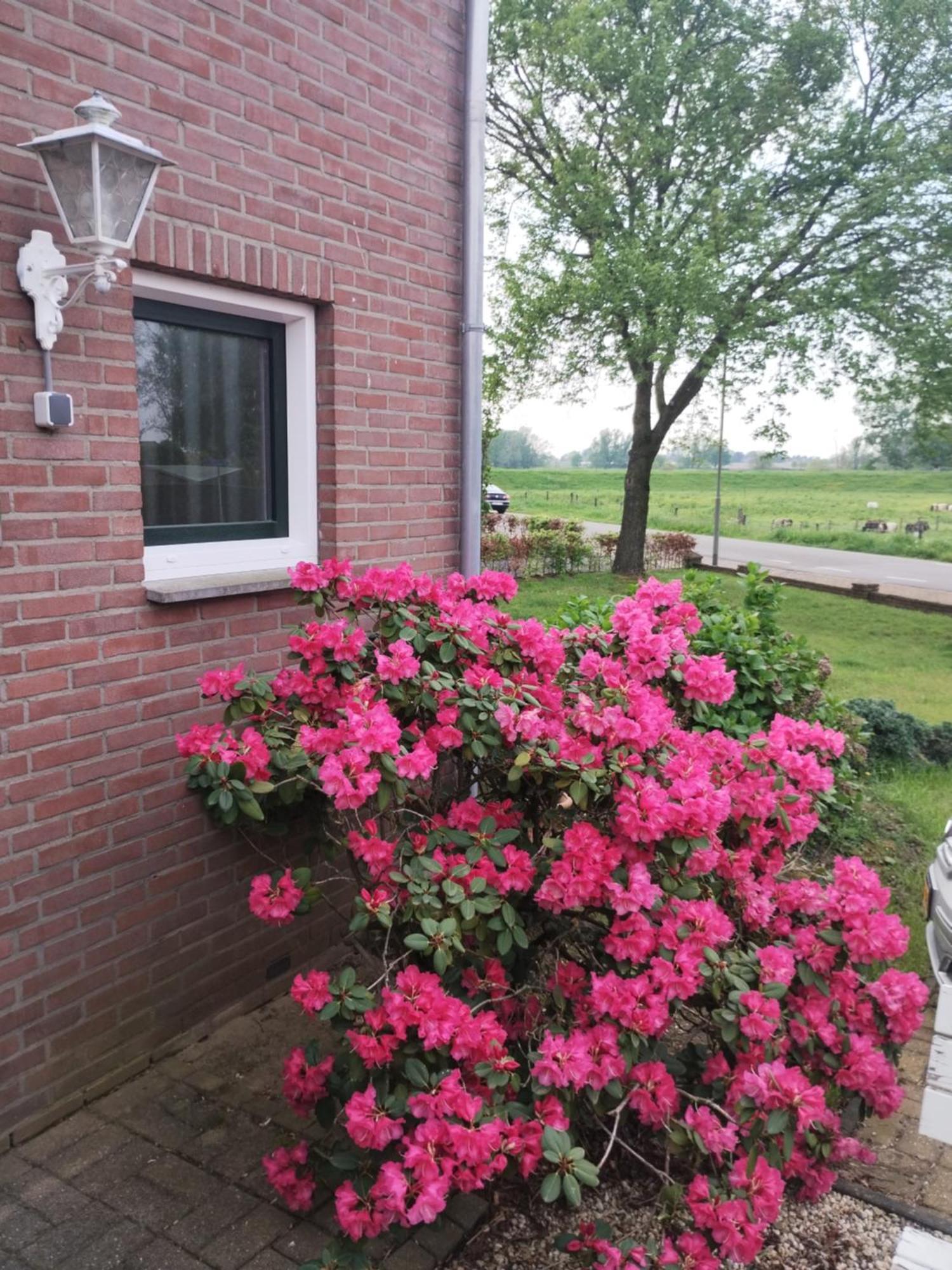 Laaker Villa Nearby Outlet Roermond Ohe en Laak Екстер'єр фото